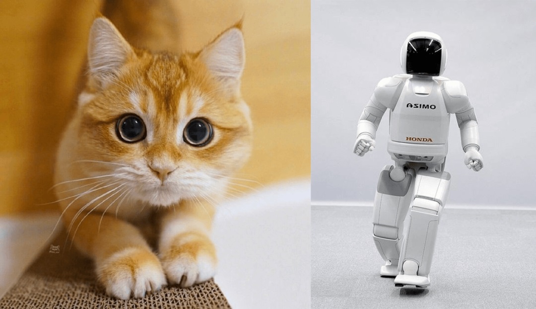 超详细!AI 绘画神器 Midjourney 基础使用手册